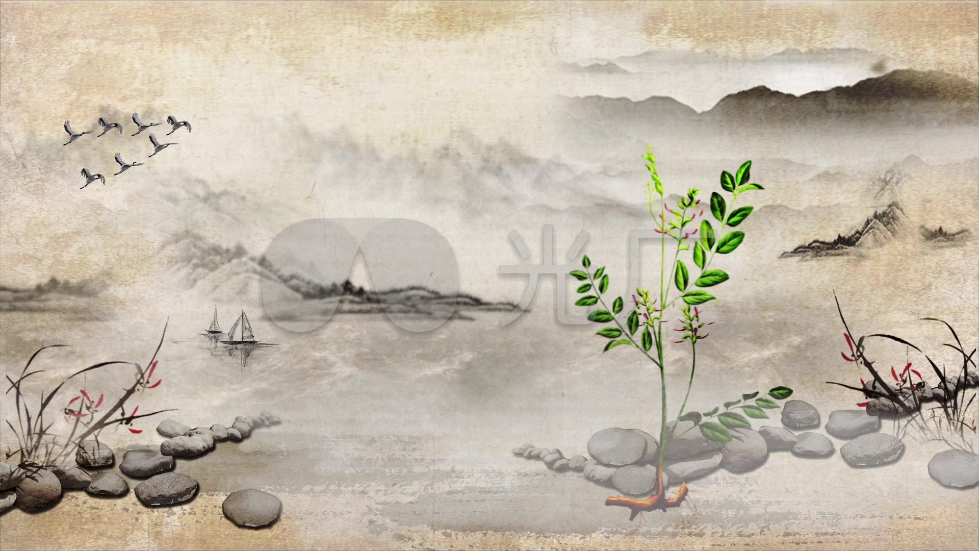 1920*1080水墨画,1920*1080太空 中医水墨中草药国画中药_1920x1080_高清视频素材下载