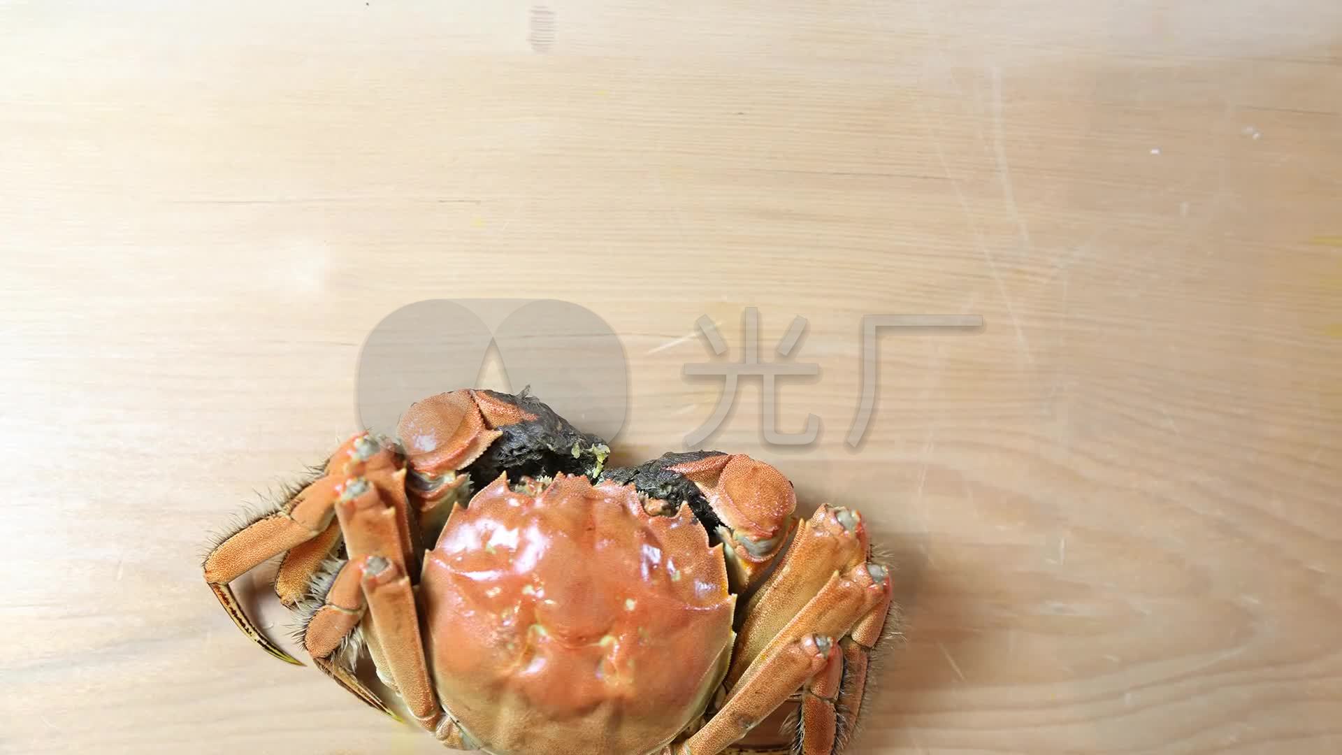 吃大闸蟹螃蟹视频教程_1920X1080_高清视频