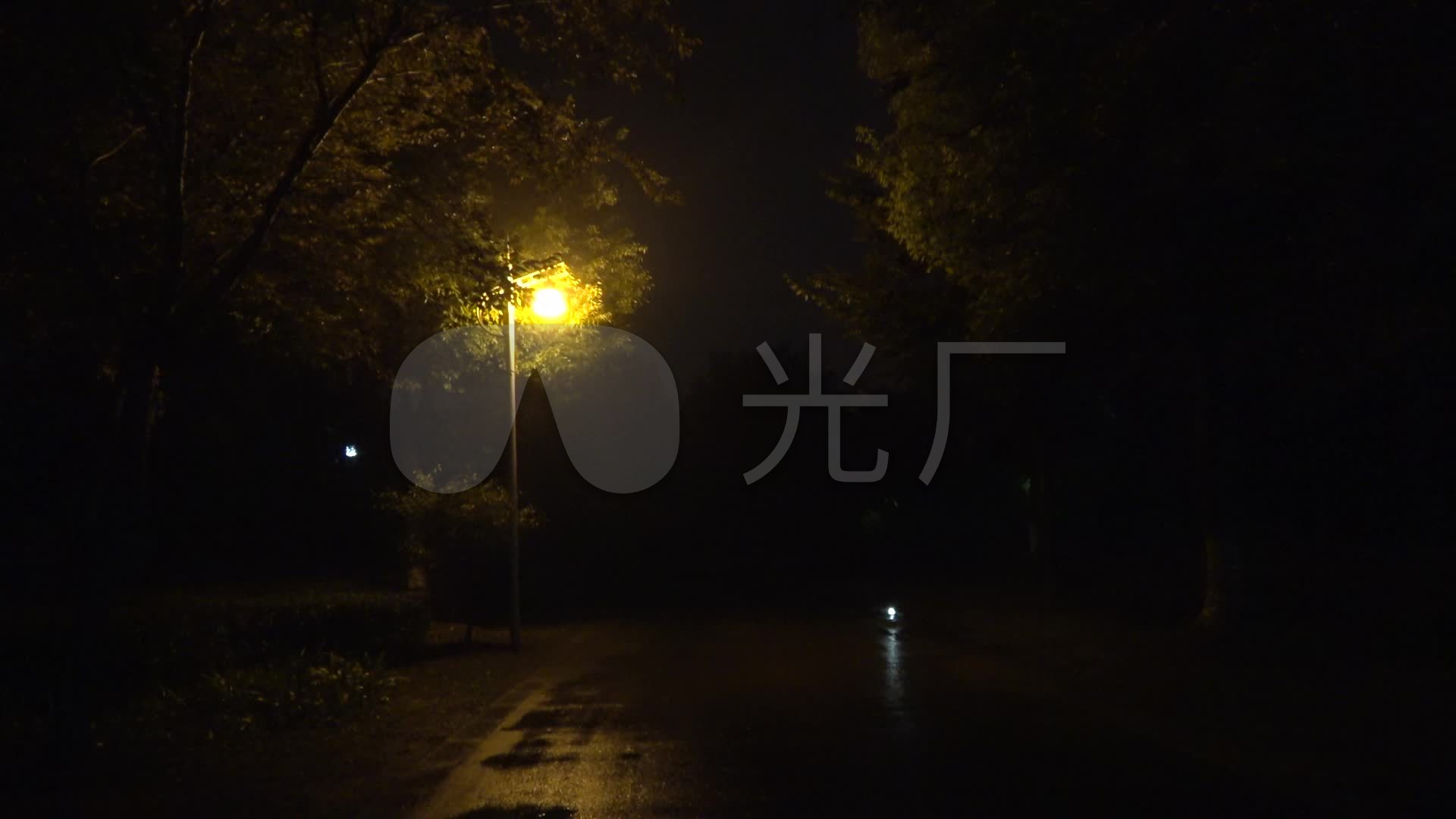 雨后深夜小路路灯_1920x1080_高清视频素材下载(编号