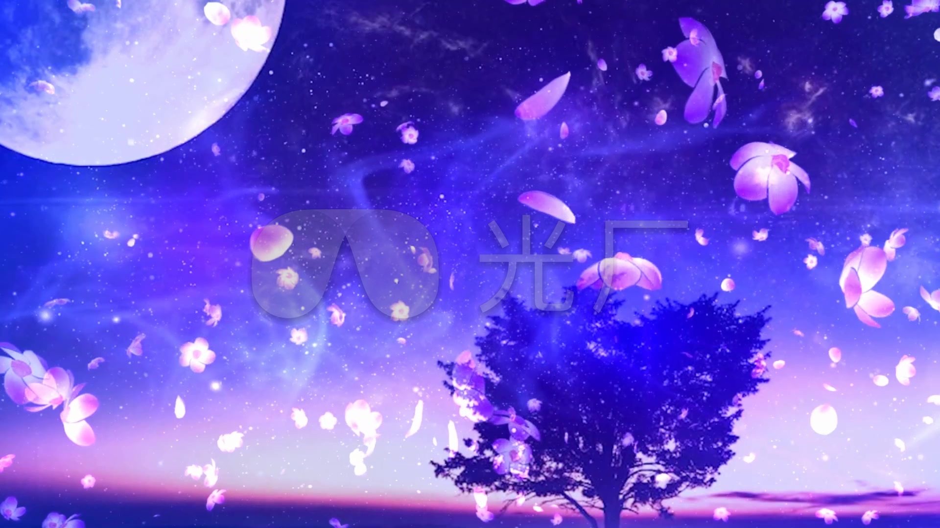 唯美梦幻 舞台背景 花瓣飘落 婚礼背景视频素材