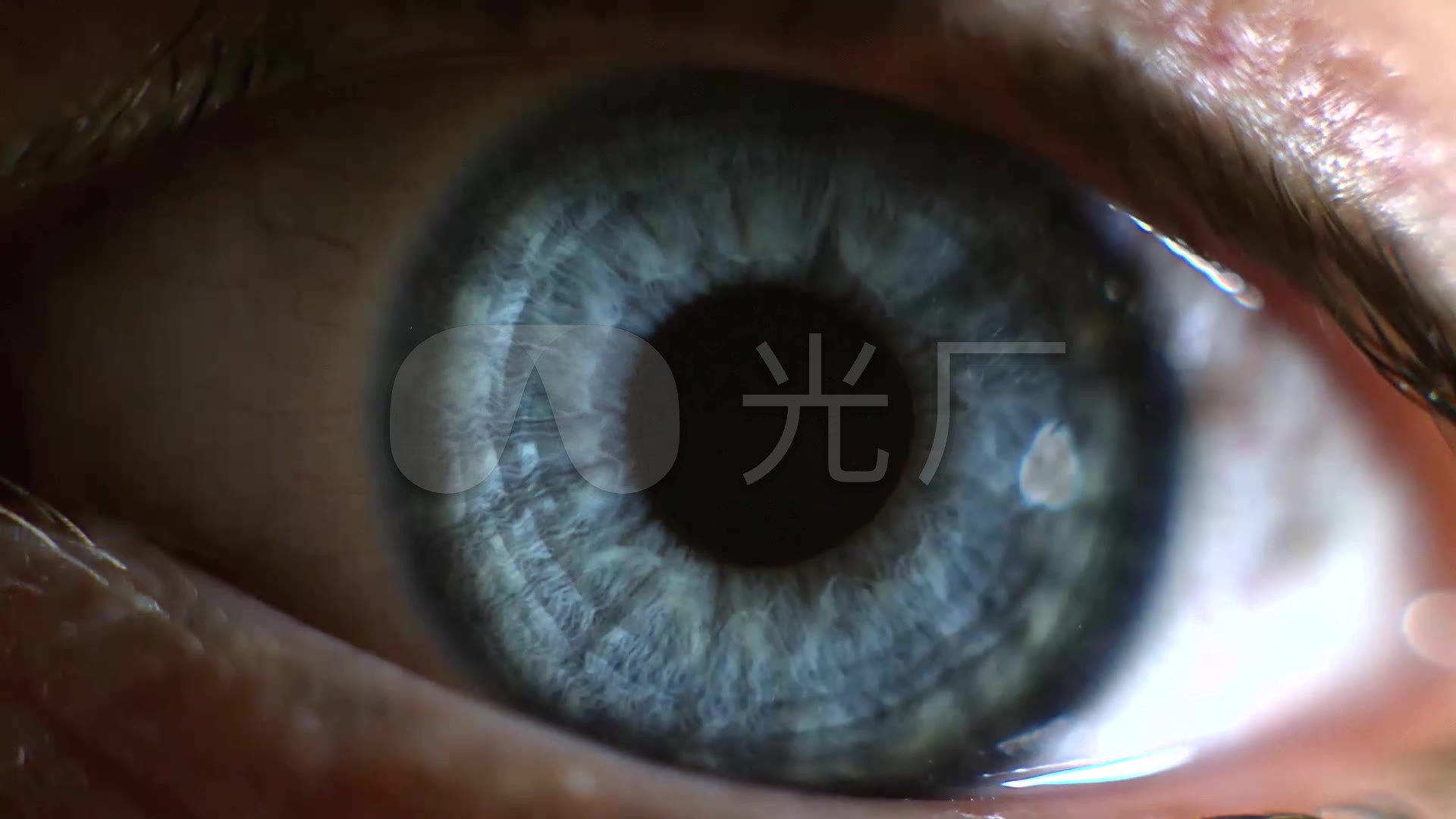 人类眼睛瞳孔