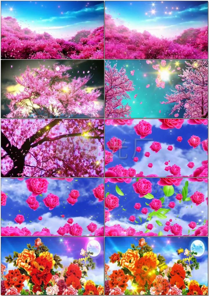 花开的时候你就来看我