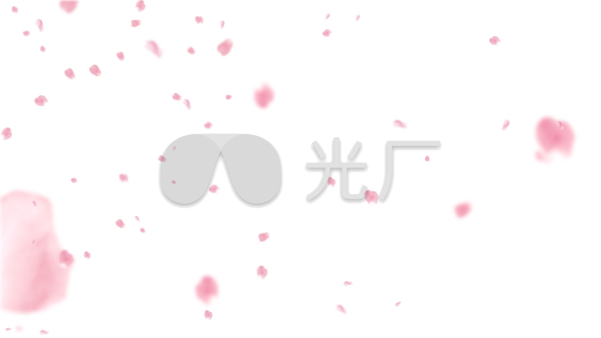 大小飘花花瓣雨飘落_1920x1080_高清视频素材下载(:)