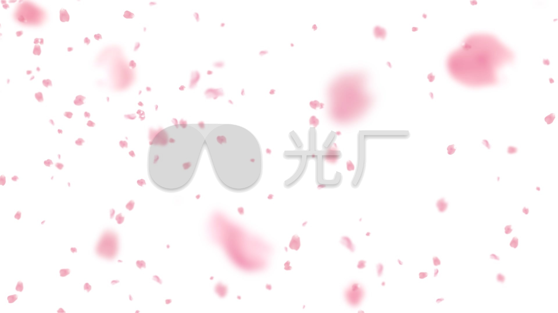 大小飘花花瓣雨飘落