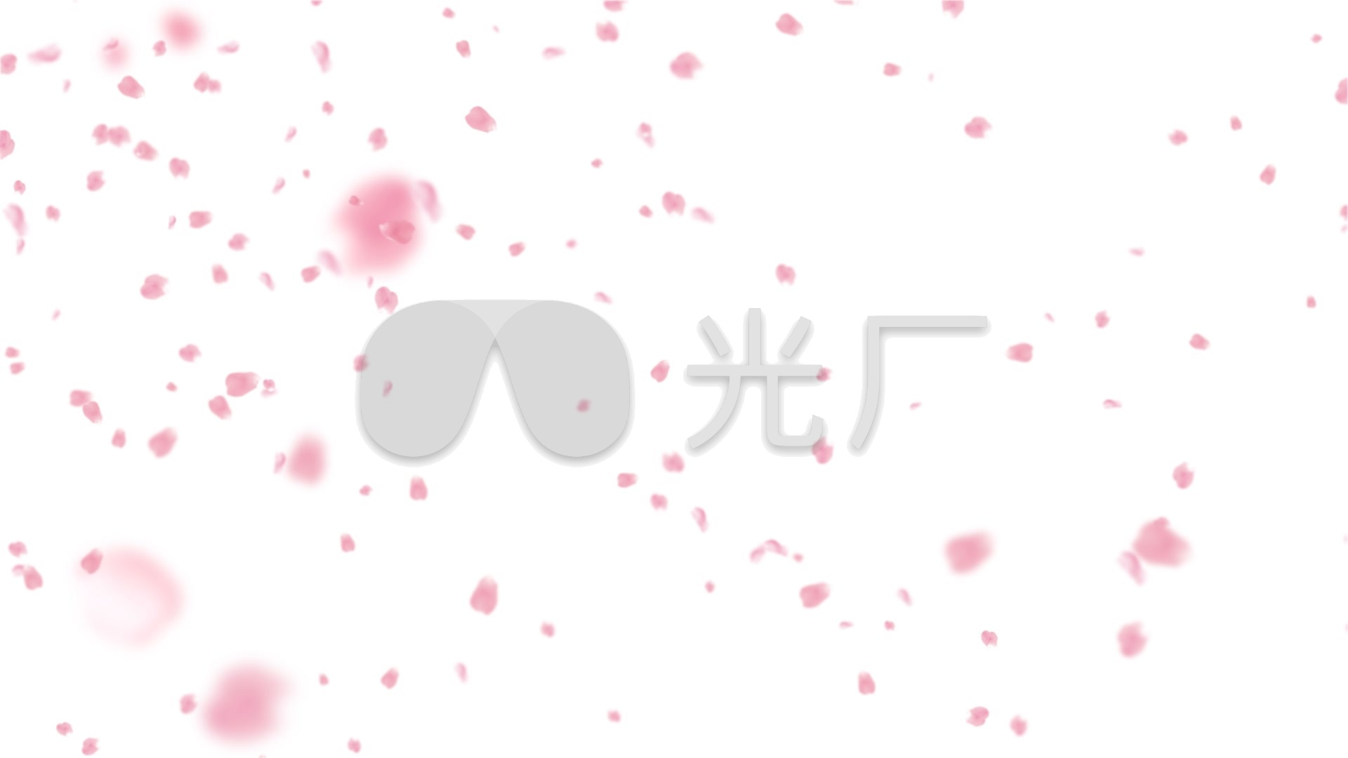 大小飘花花瓣雨飘落_1920x1080_高清视频素材下载(:)