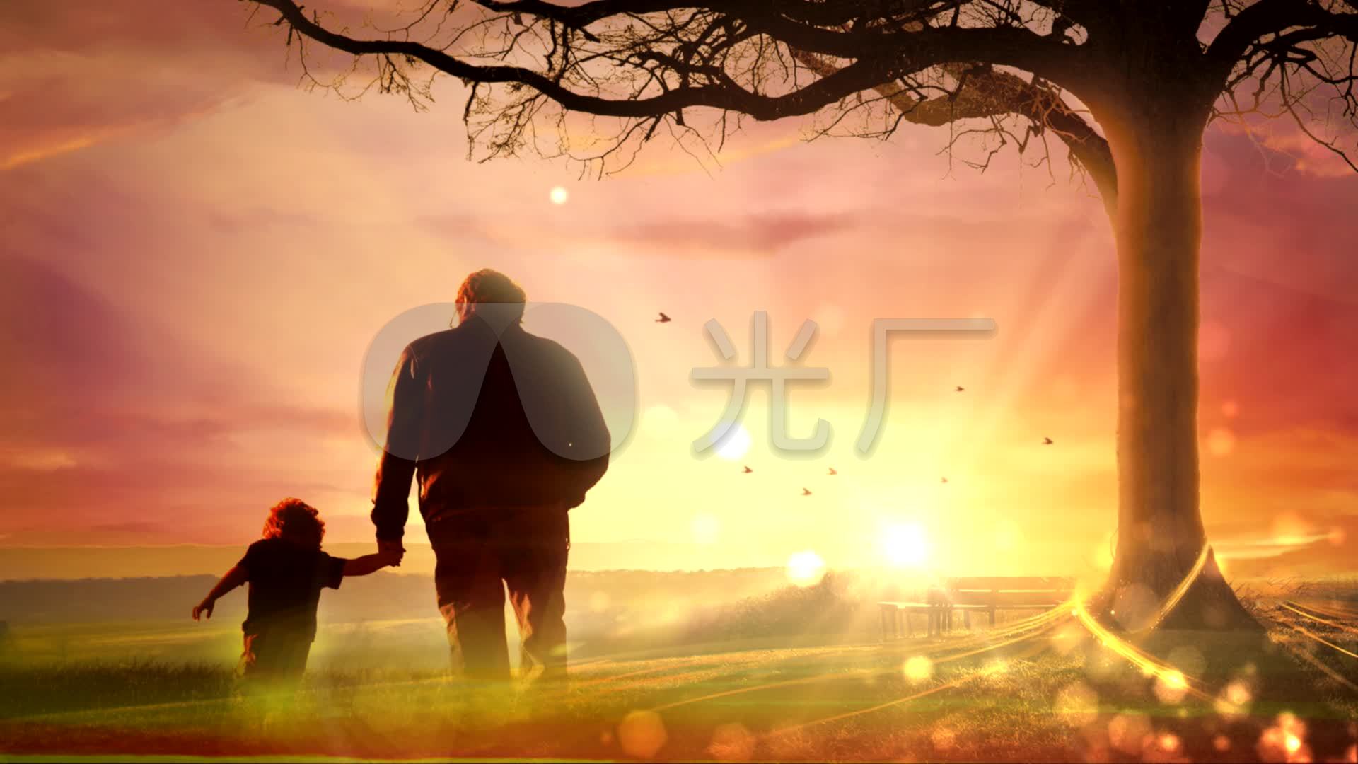 感恩父亲情满人间大树下父子背景视频素材
