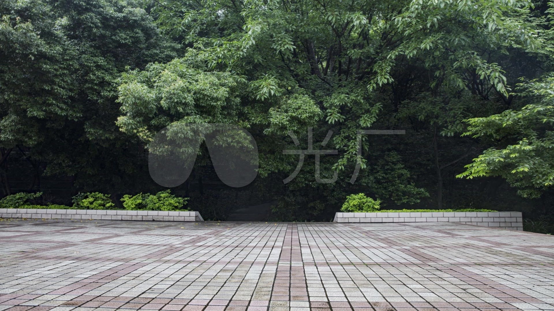 广场舞背景素材--漫步人生路