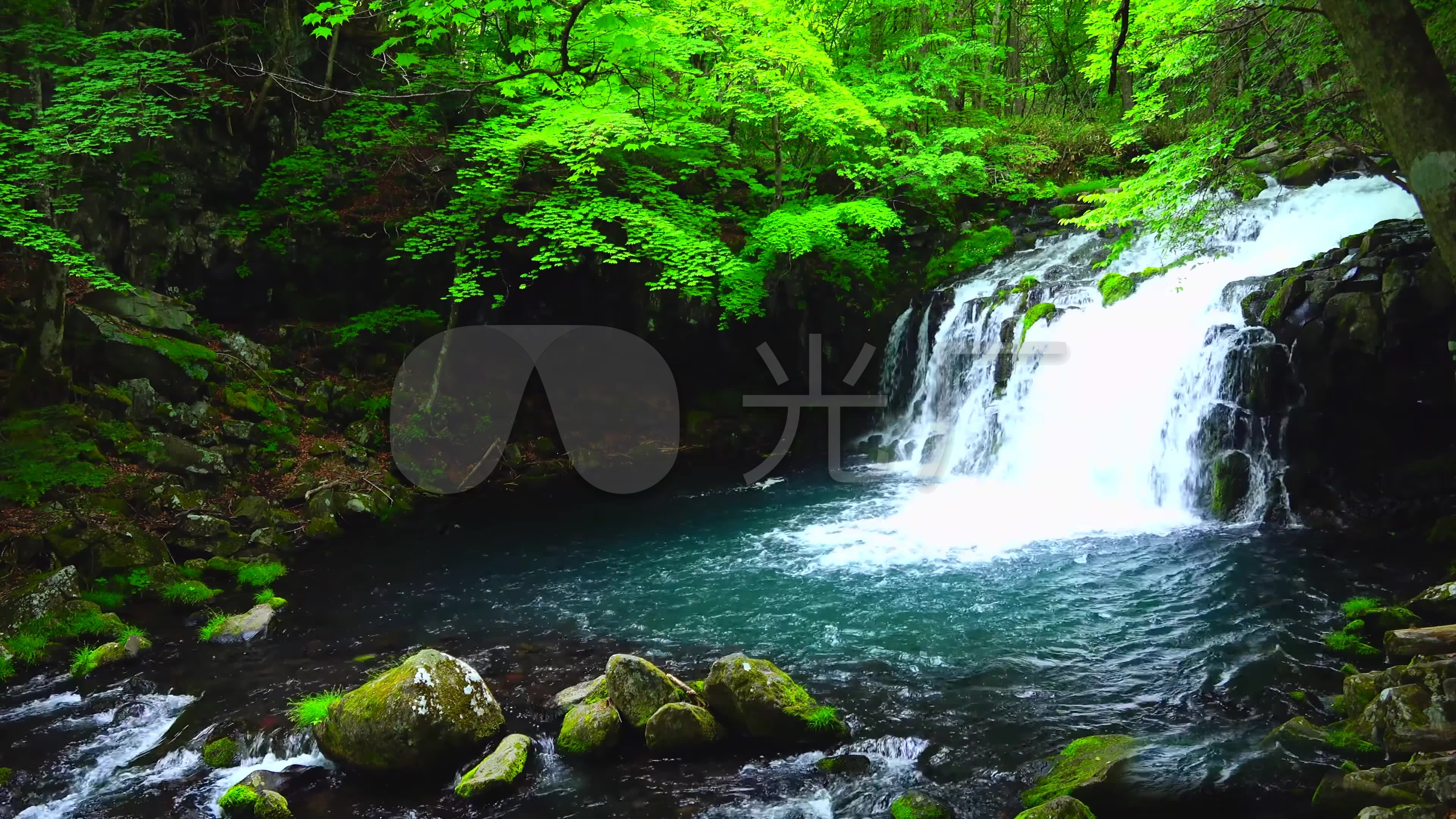 4k森林溪流瀑布水潭流水_3840x2160_高清视频素材下载