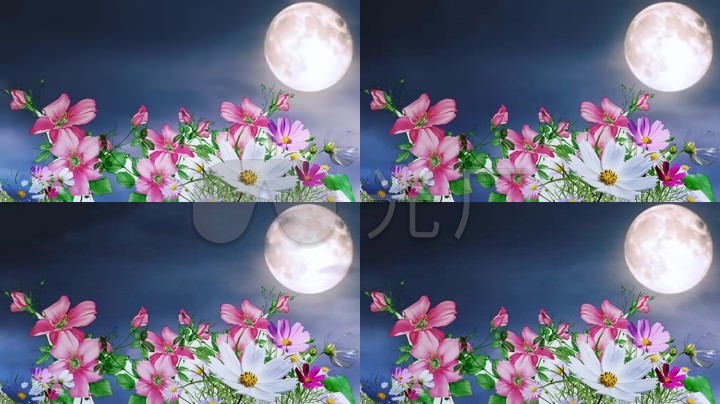 唯美花朵月亮背景