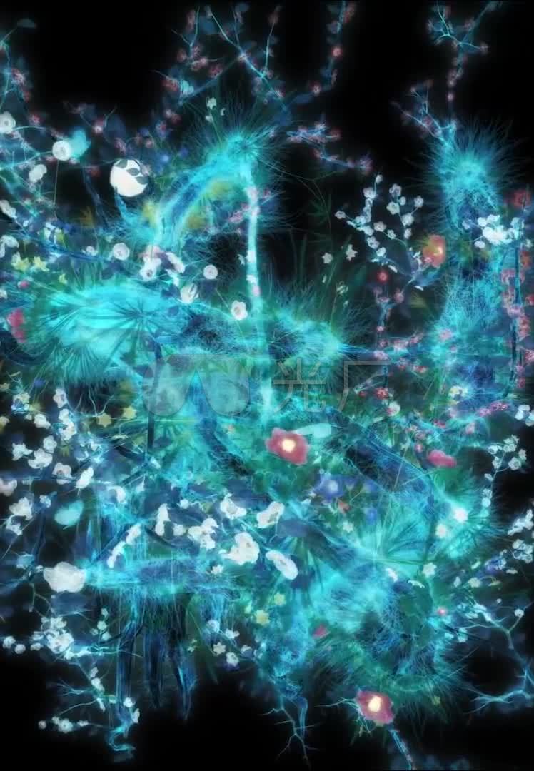 竖屏全息梅花全息投影3d投影投影素材_748x1080_高清