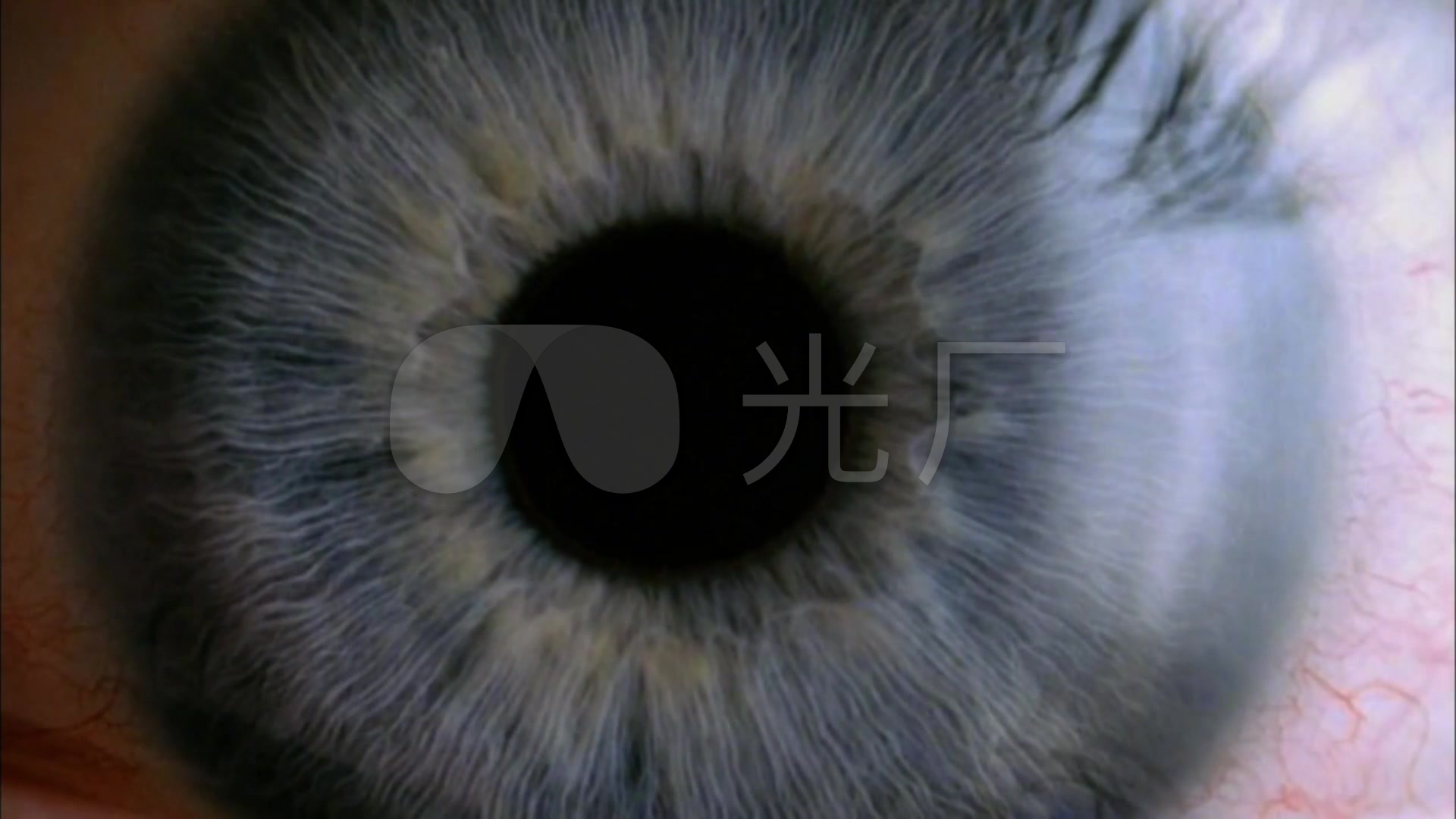 心灵之窗眼睛瞳孔特写合集_1920x1080_高清视频素材下载(编号:1913736