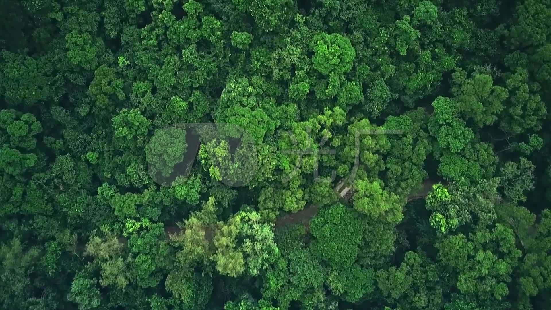 航拍大自然绿色森林水库