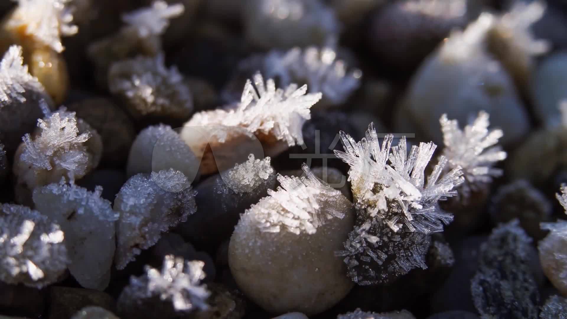 春天冰雪融化万物复苏生生不息生命力