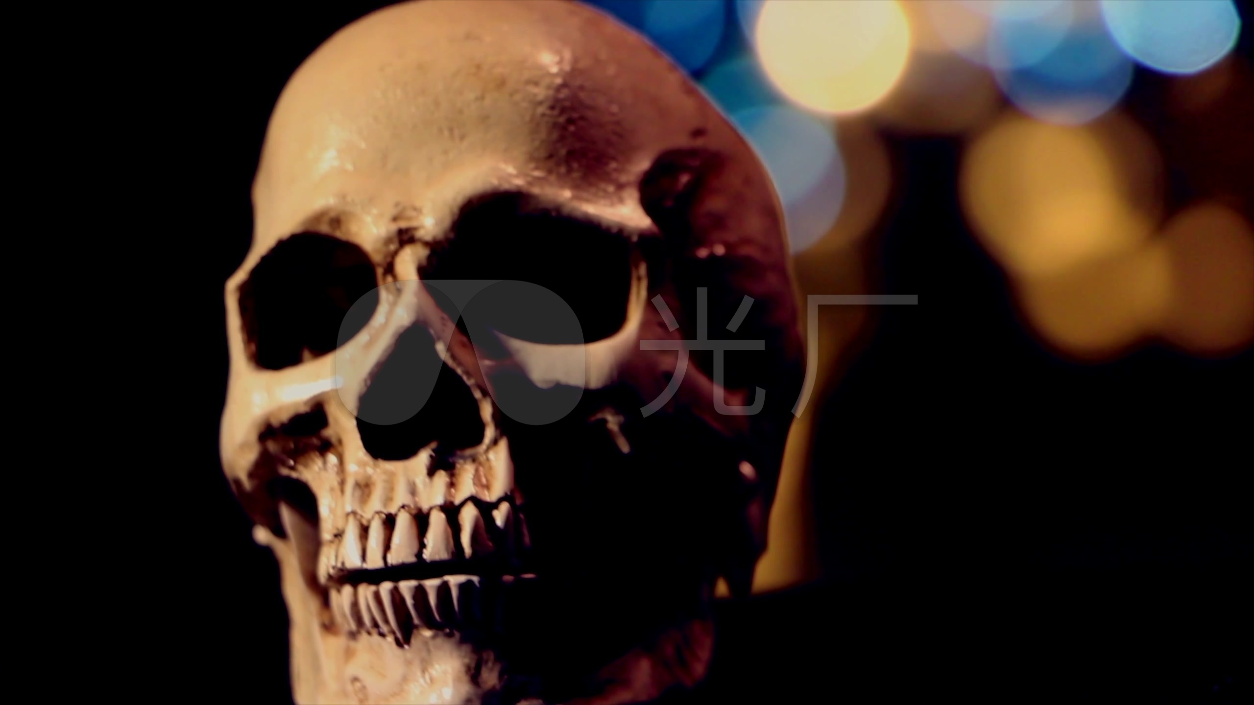 恐怖死亡骷髅头背景视频素材_2560x1440_高清视频素材