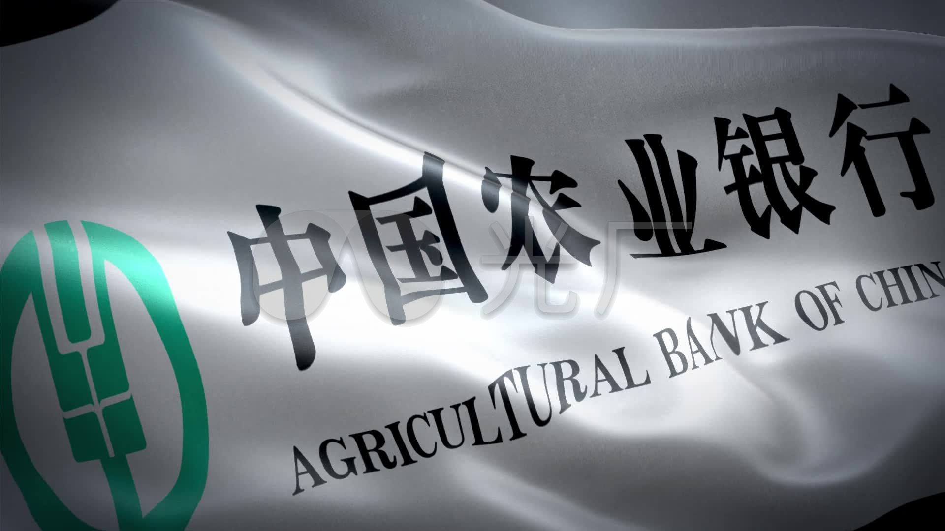 申请vjshi网帮我买单