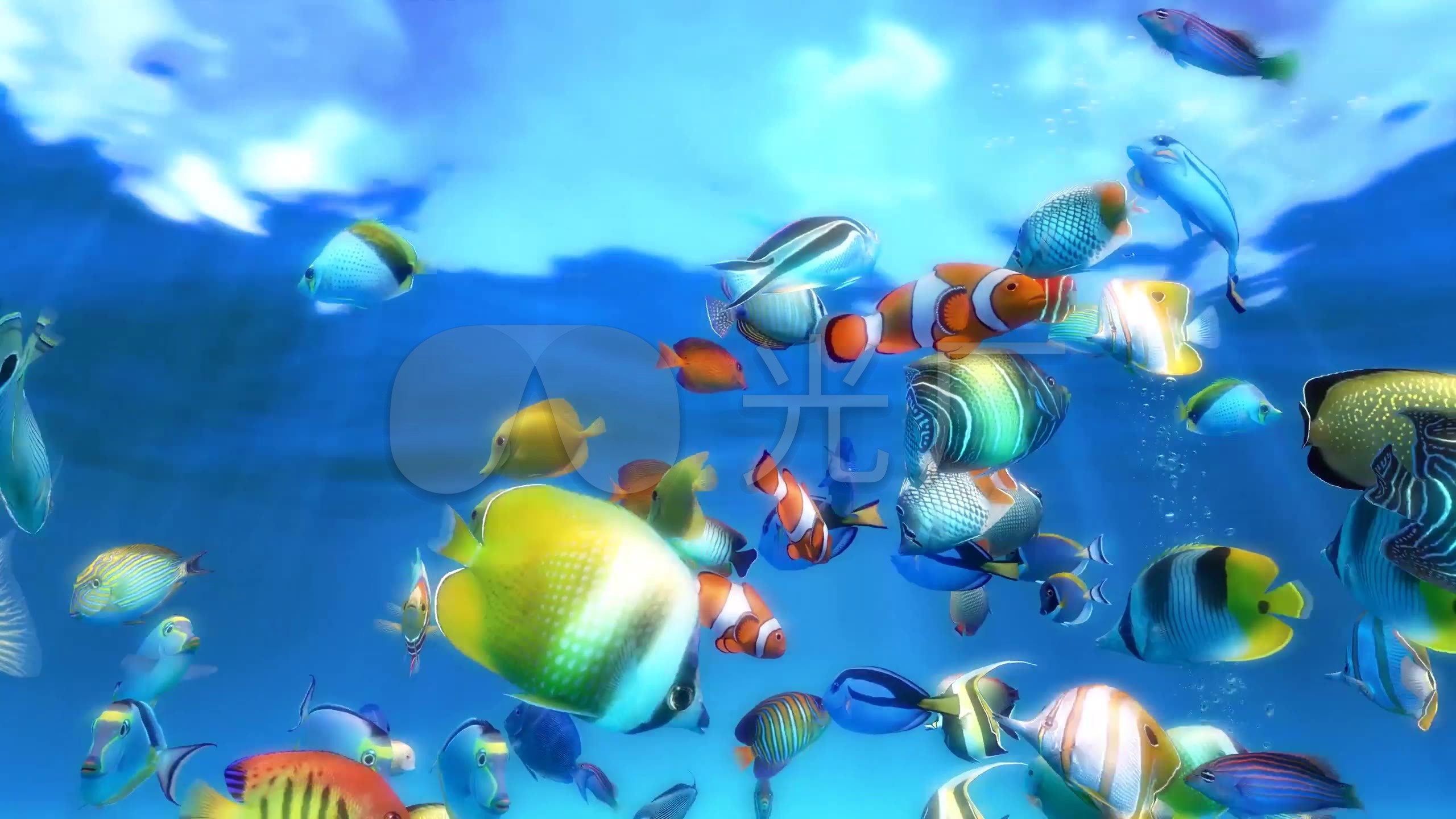 3k梦幻3d海洋世界水族馆