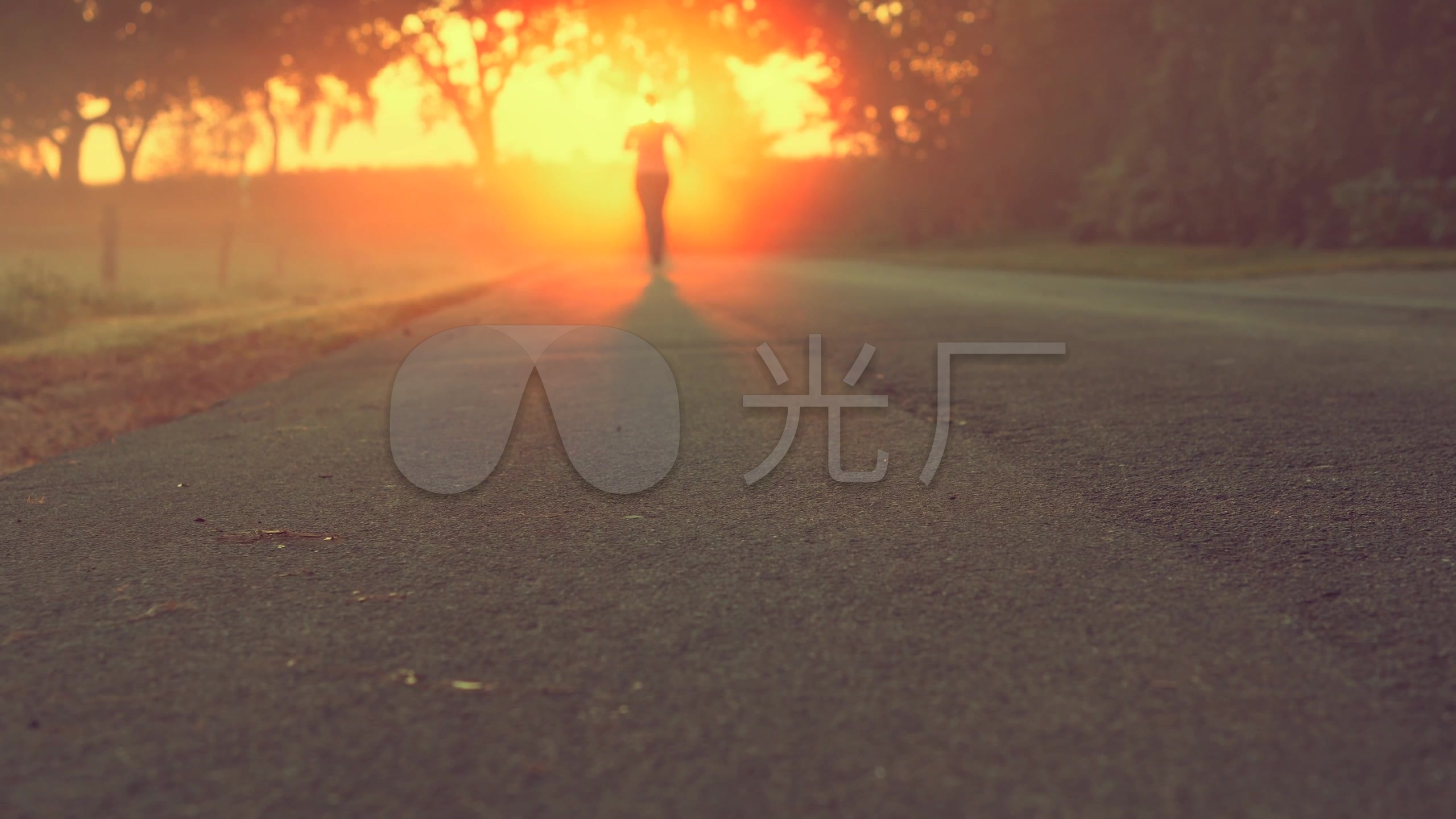 初秋清晨最佳跑步锻炼时刻