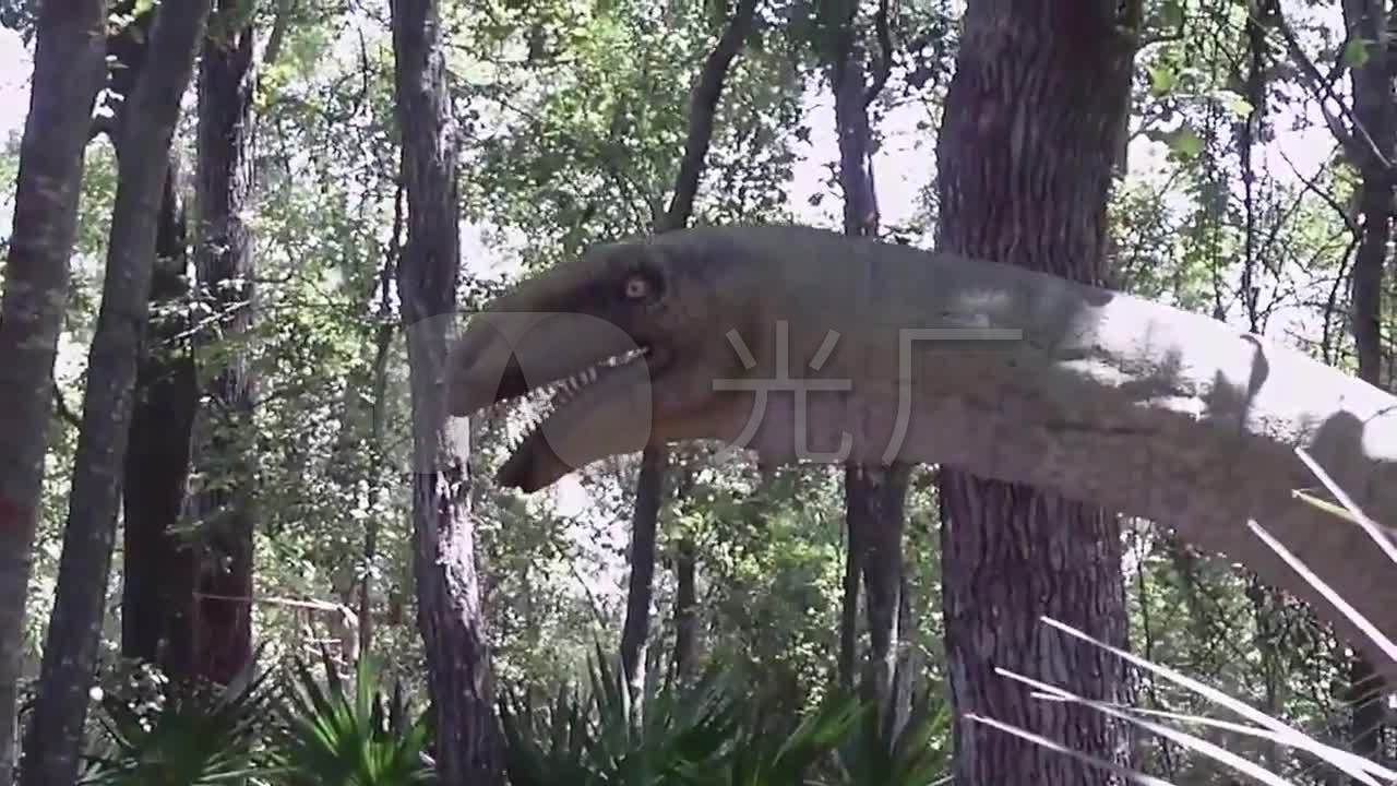 长龙恐龙