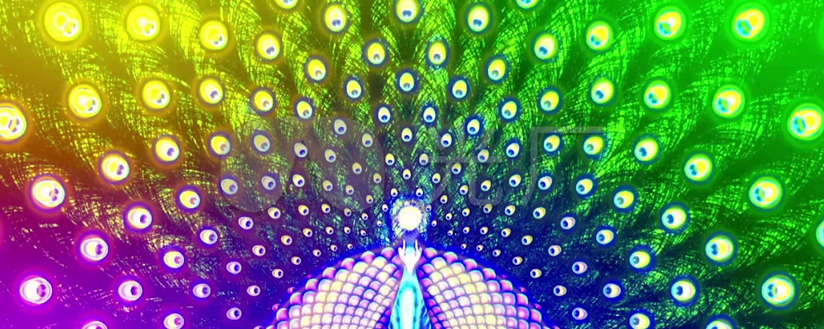 羽毛孔雀开屏五彩舞蹈背景宽屏led
