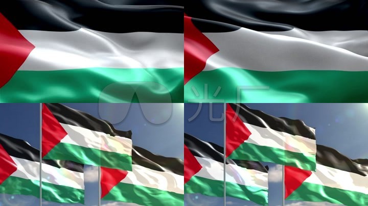 视频素材 舞台背景 场景背景 巴勒斯坦国旗 巴勒斯坦国旗旗帜国旗飘扬