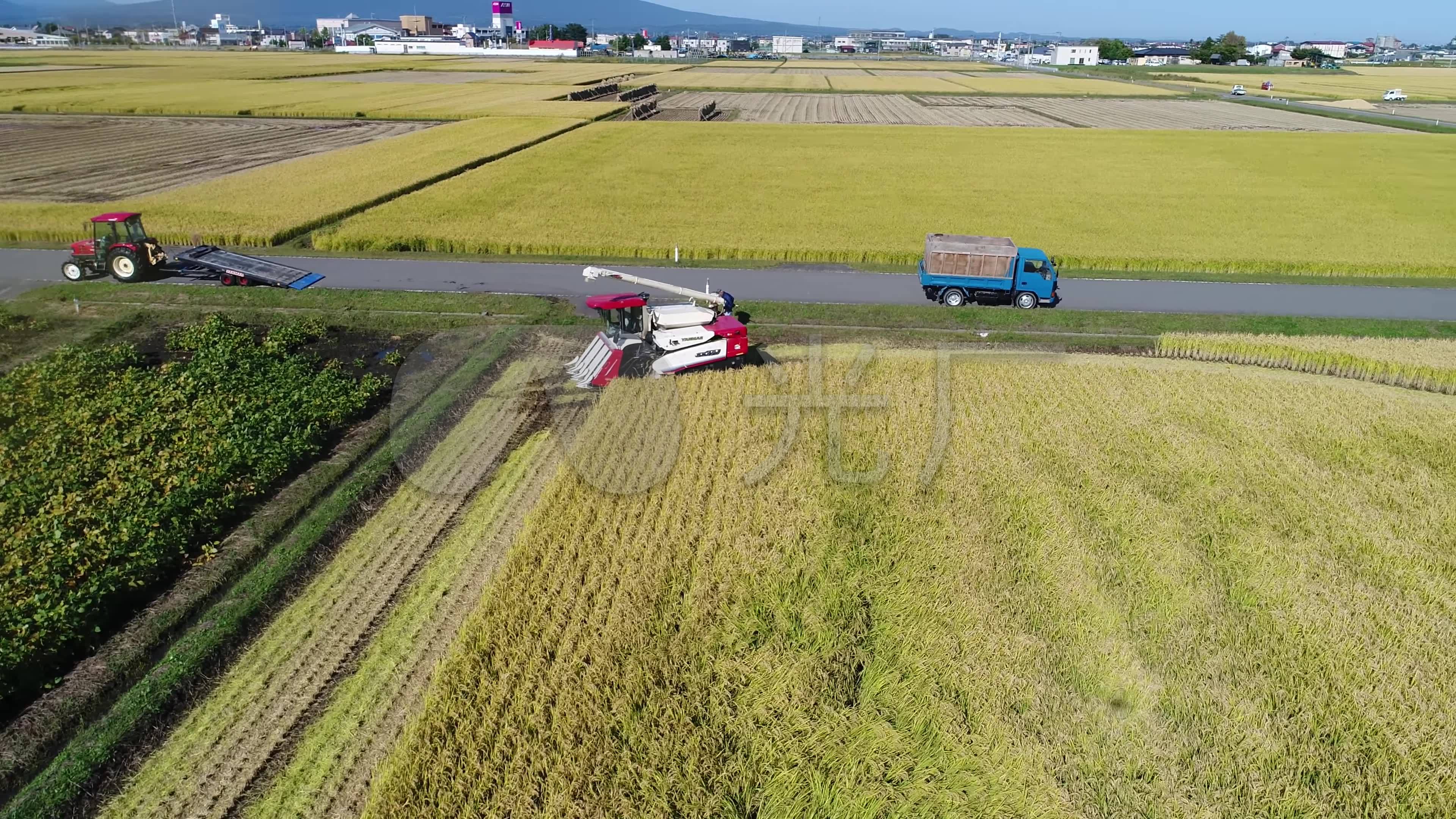 4k航拍农田稻田水稻机械化收割