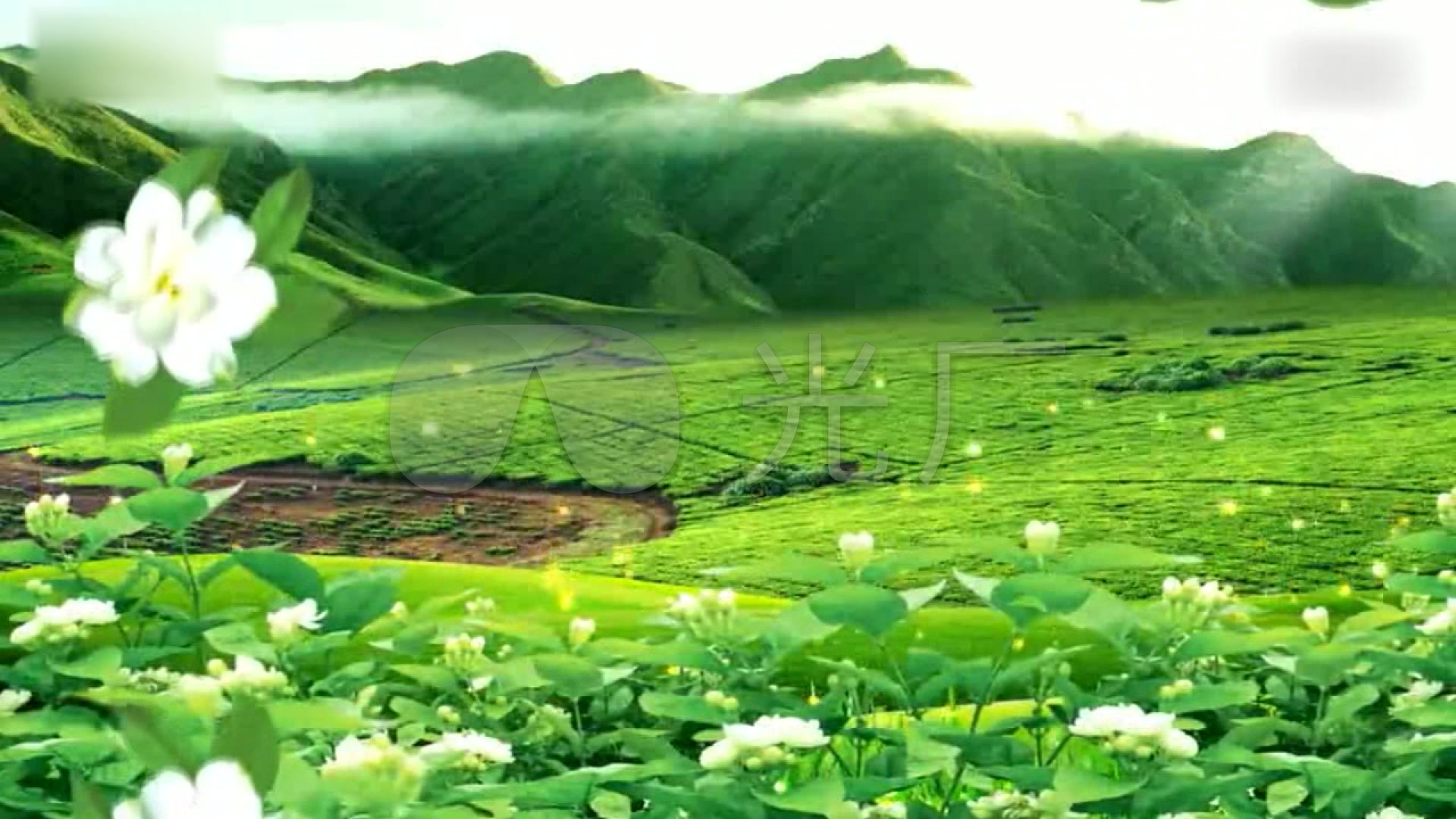 采茶扑蝶led大屏