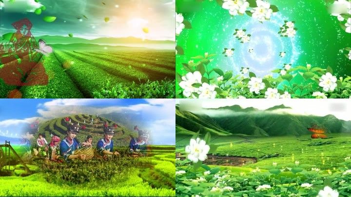 采茶扑蝶led大屏