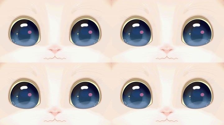 mg小猫眼睛卡通可爱萌系小猫