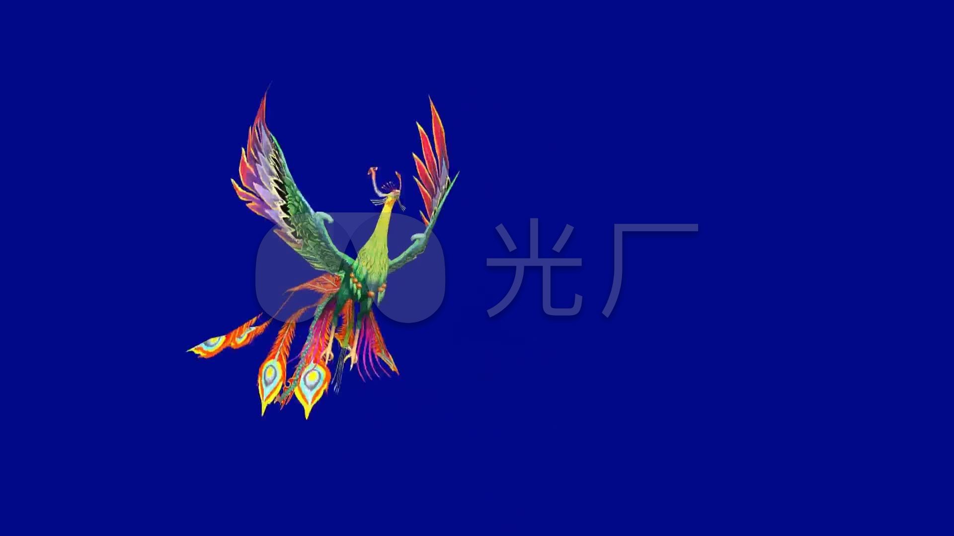 蓝幕抠像飞天凤凰_1920x1080_高清视频素材下载(编号