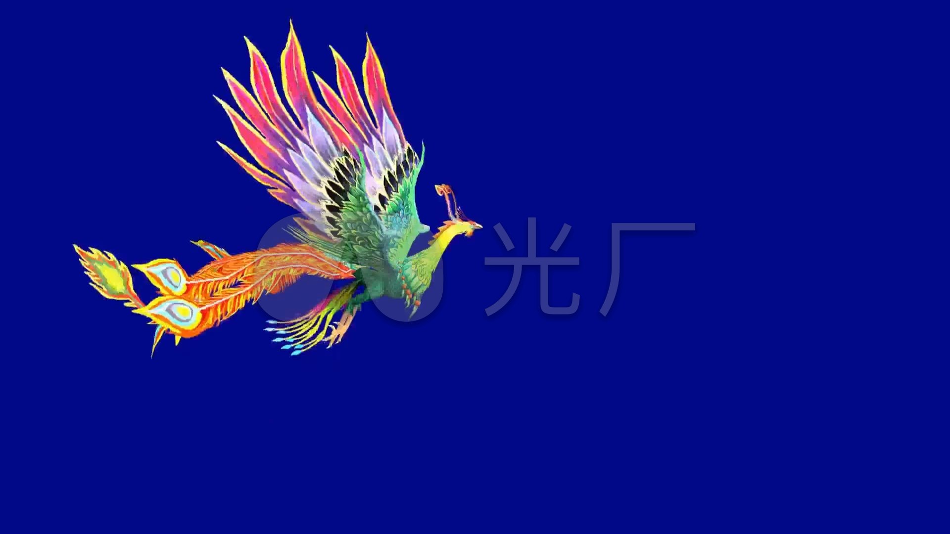 蓝幕抠像飞天凤凰