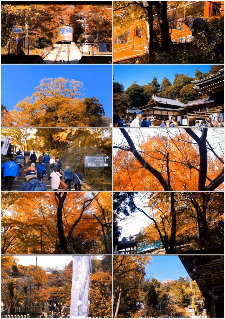 2k秋天城市公园美景