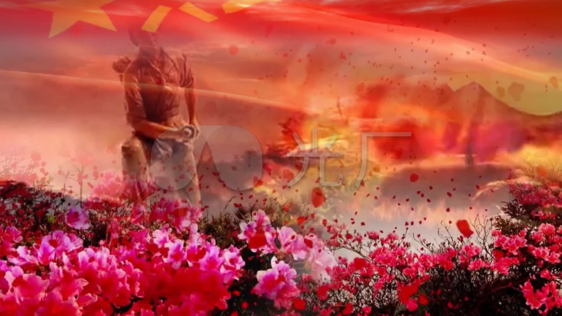 八一 红旗 映山红 花瓣 背景视频