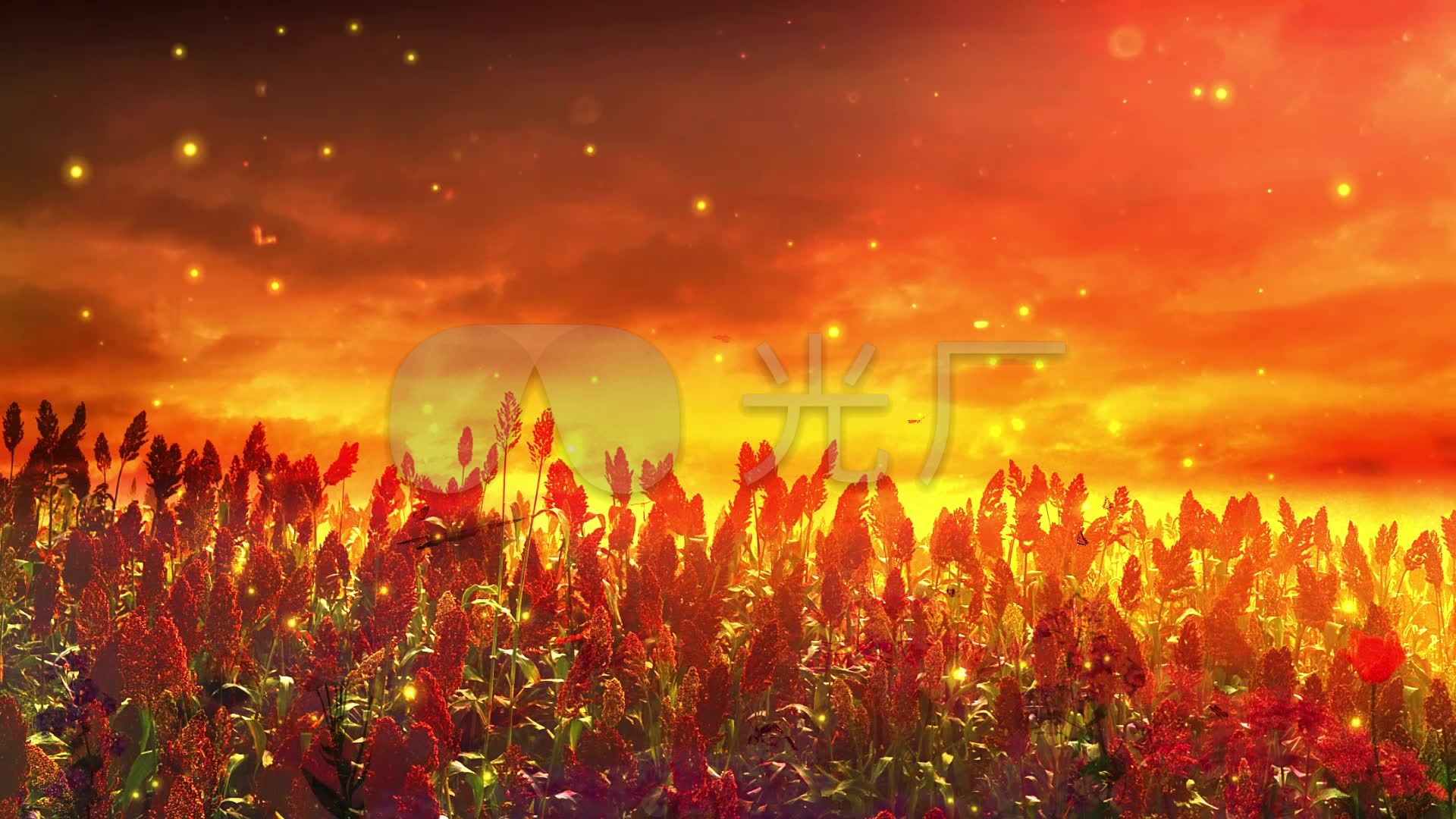 红高粱九儿舞蹈背景九儿歌曲led_1920x1080_高清视频素材下载(编号