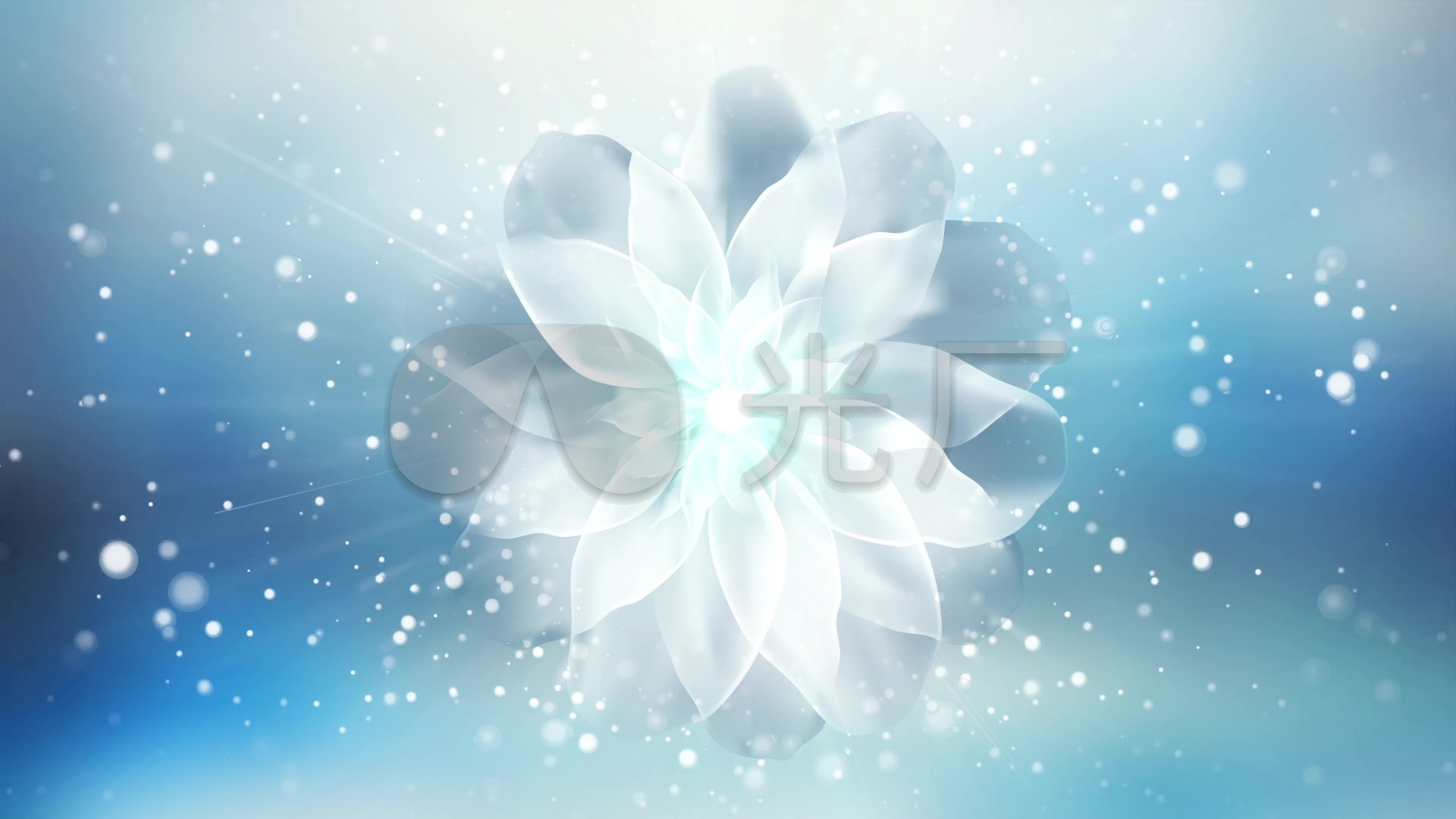 雪莲花粒子循环