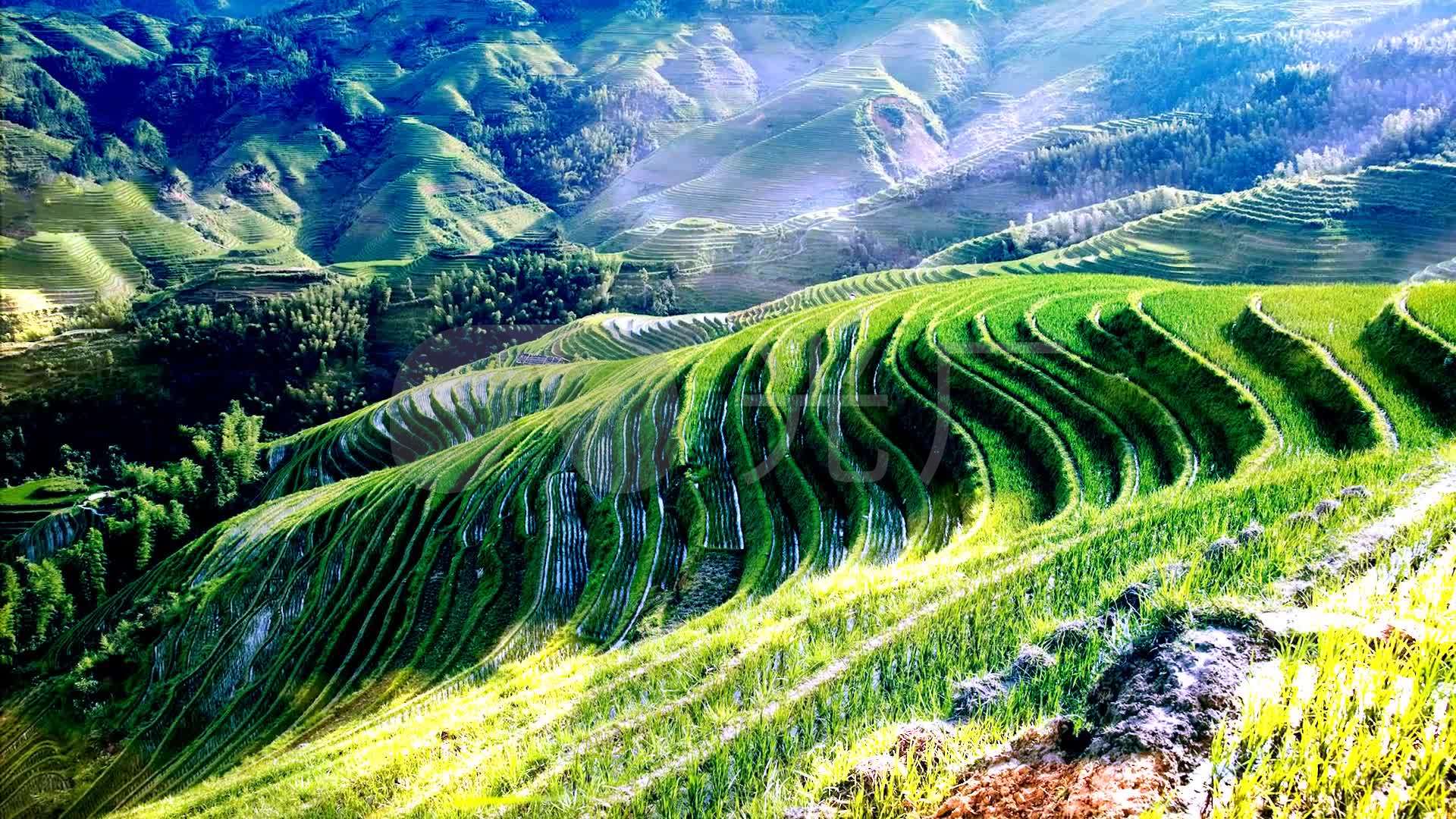 谁不说俺家乡好舞台背景_1920x1080_高清视频素材下载