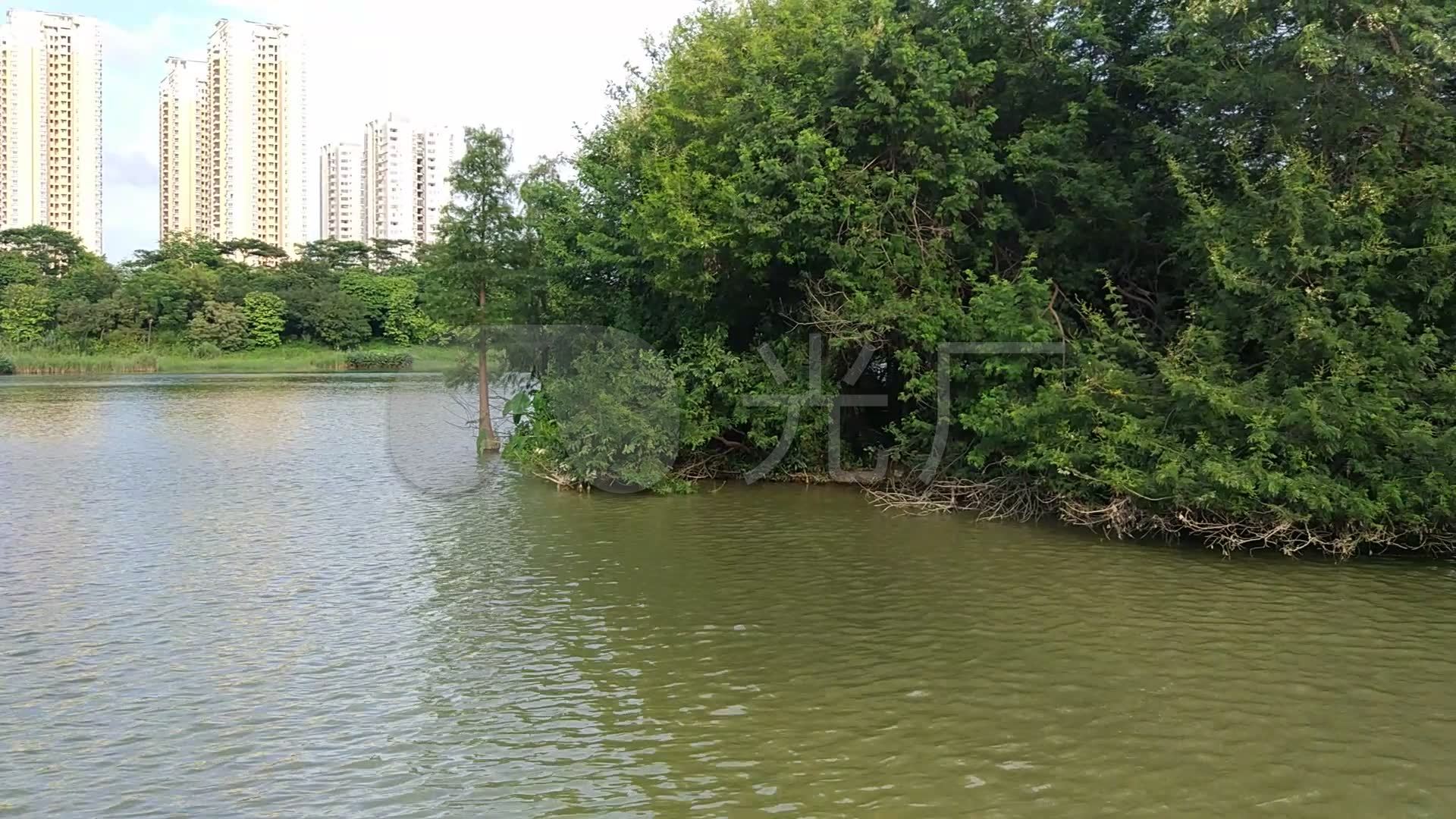 南宁相思湖湿地公园风景公园湖泊公园湿