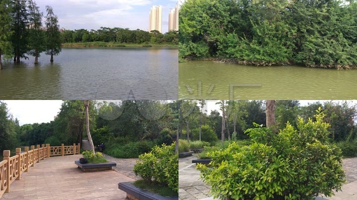 南宁相思湖湿地公园风景公园湖泊公园湿