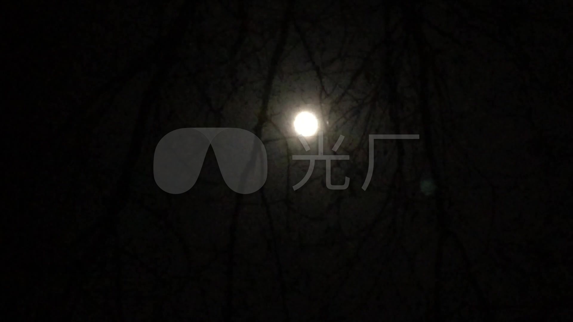 实拍 夜晚 树枝 树杈 月亮 视频