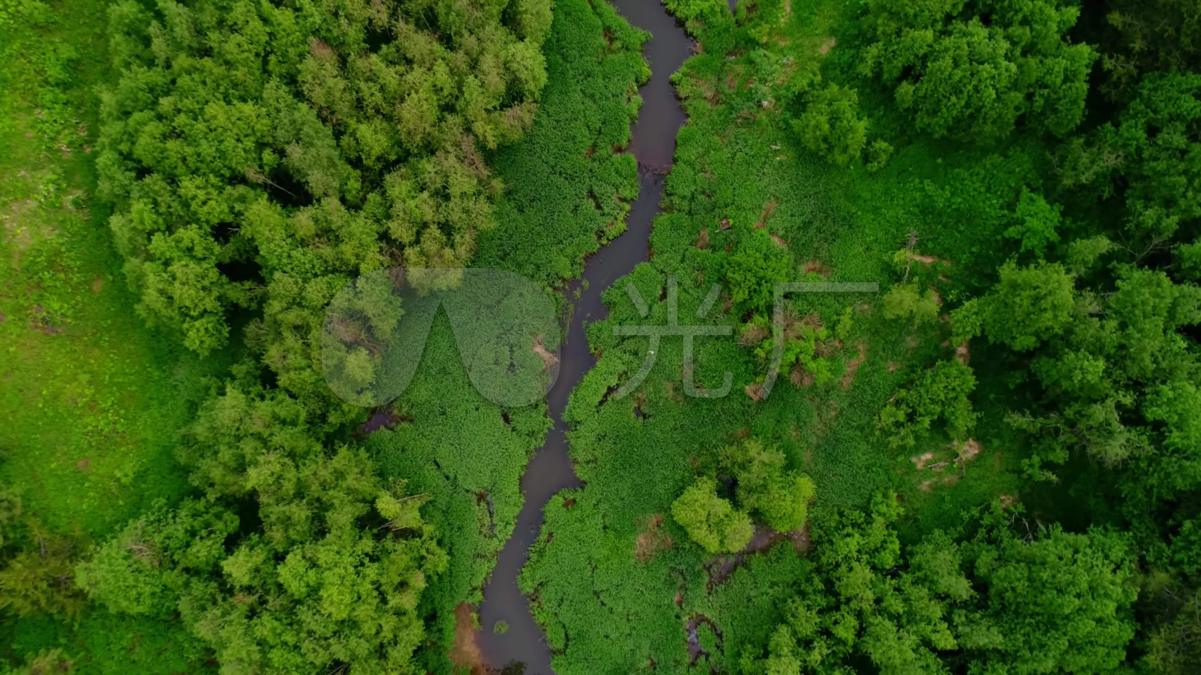 4k航拍森林河流湿地_3840x2160_高清视频素材下载(:)