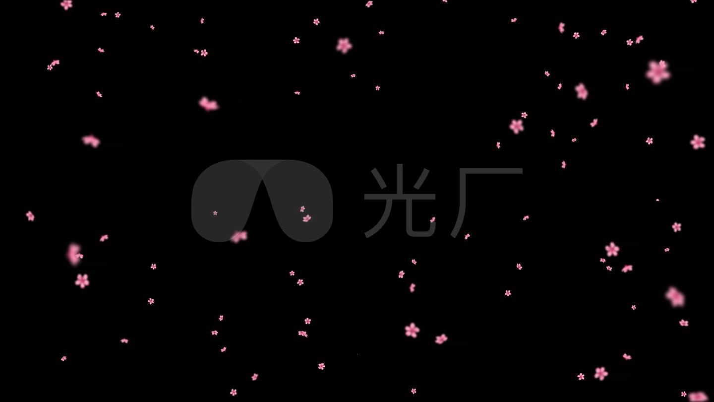 唯美抒情舞蹈凄美三维花瓣花瓣雨花瓣转场撒花樱花玫瑰花情人节动态
