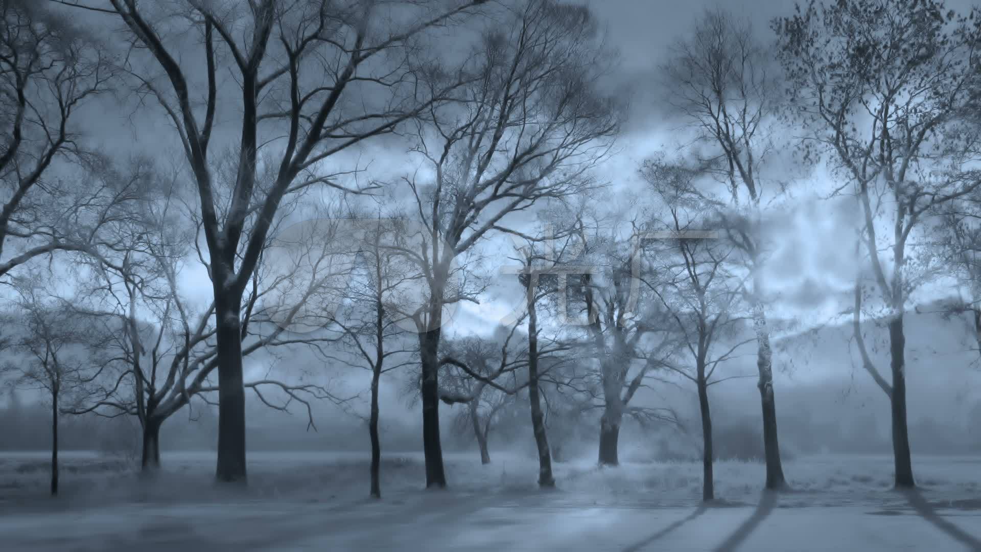 1920X1080壁纸暗黑,暗黑系壁纸1920x1080 暗黑树林_1920x1080_高清视频素材下载(编号:2094649)