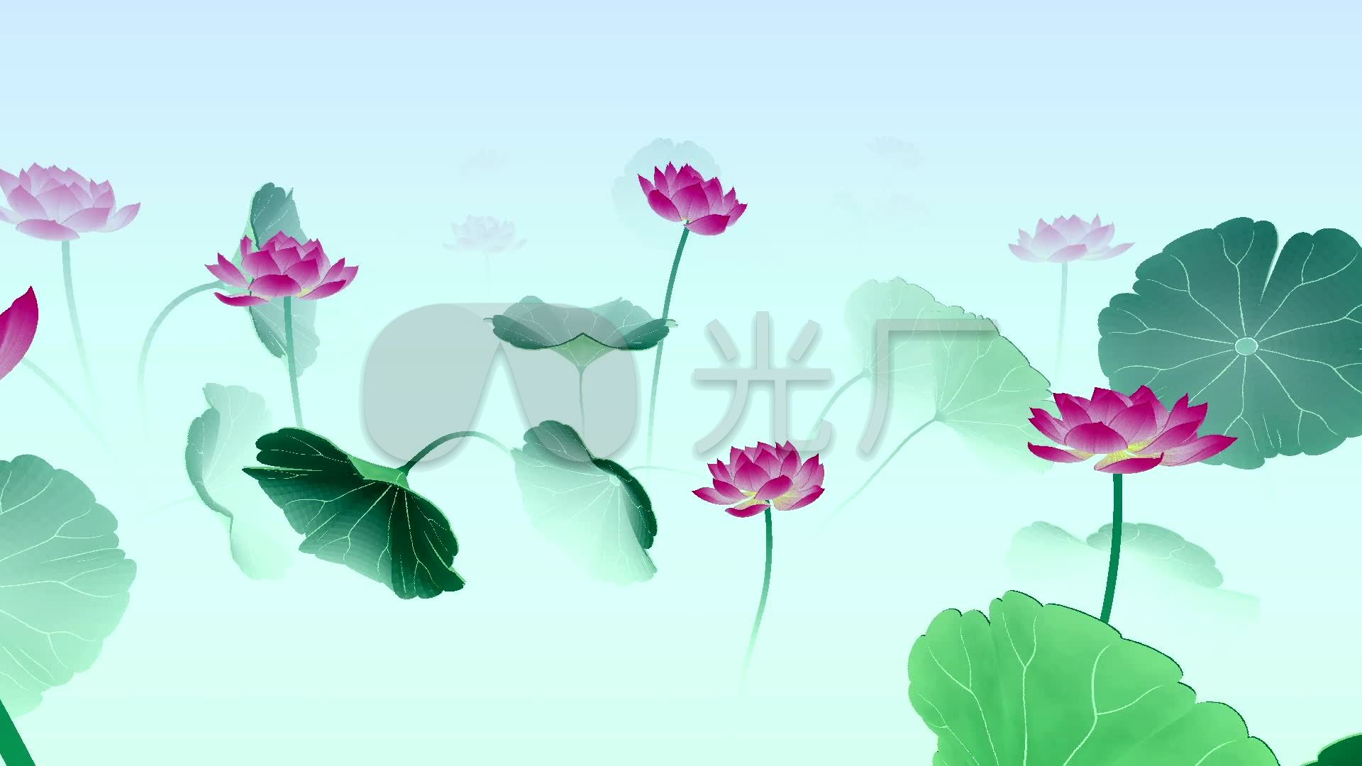 中国风3d水墨荷花三维动画