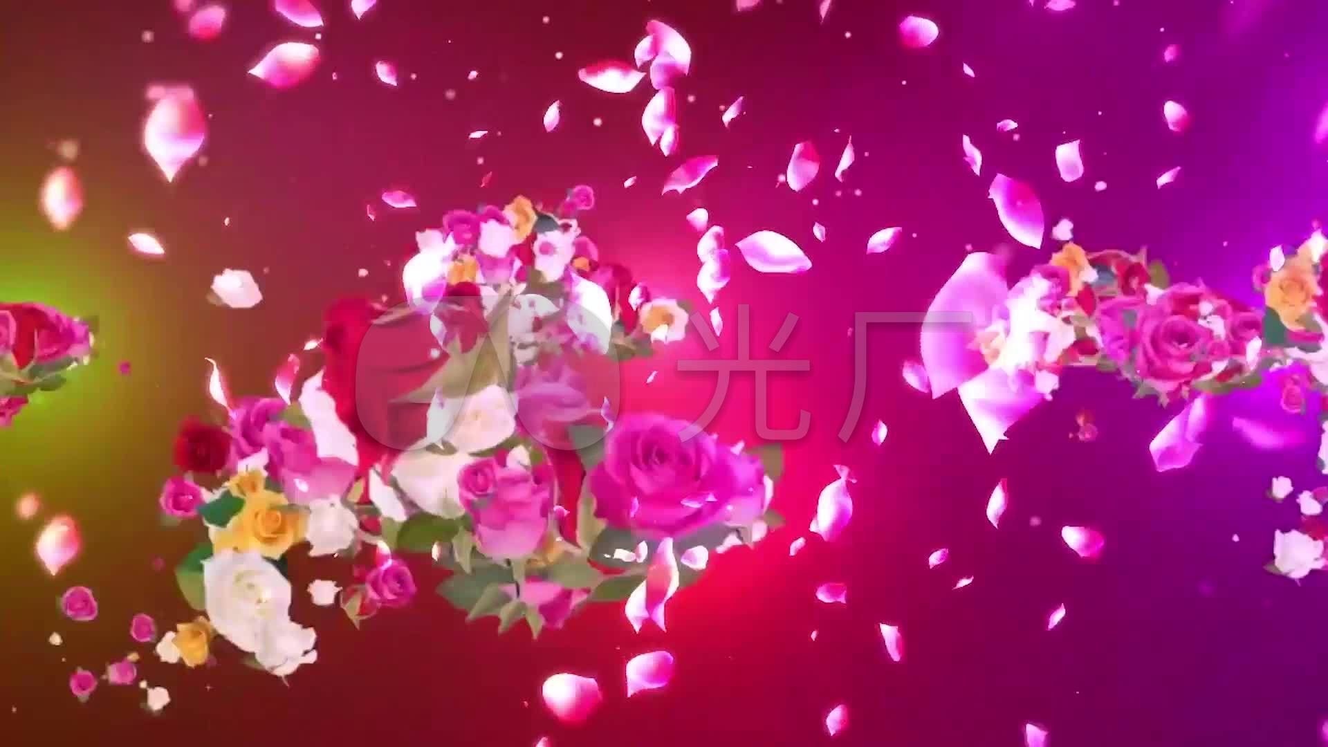 花团锦簇_1920x1080_高清视频素材下载(编号:2097645)
