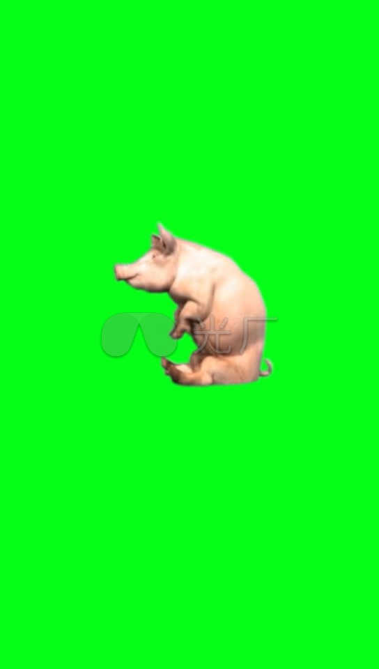 猪动物蓝布绿布手机巧影素材_544X960_高清
