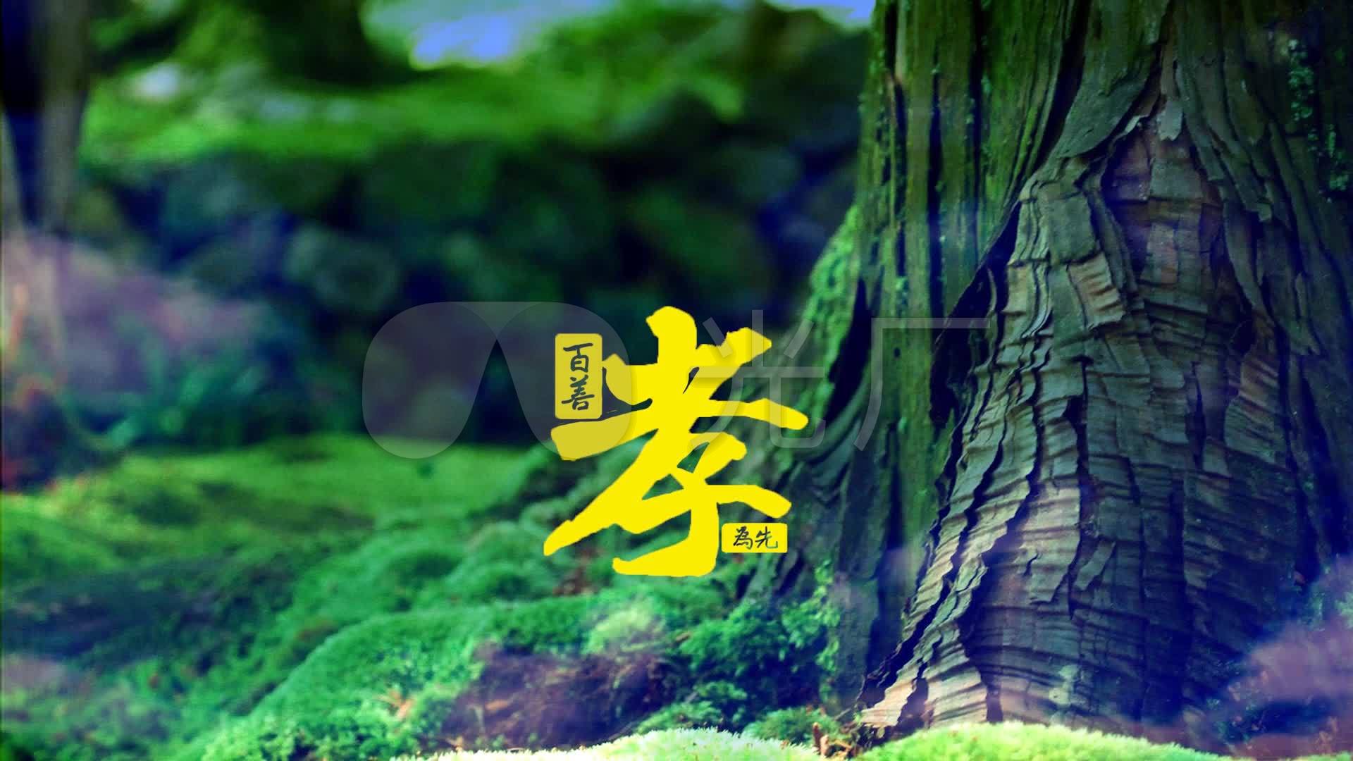 歌曲《念亲恩》陈百强_1920x1080_高清视频素材下载