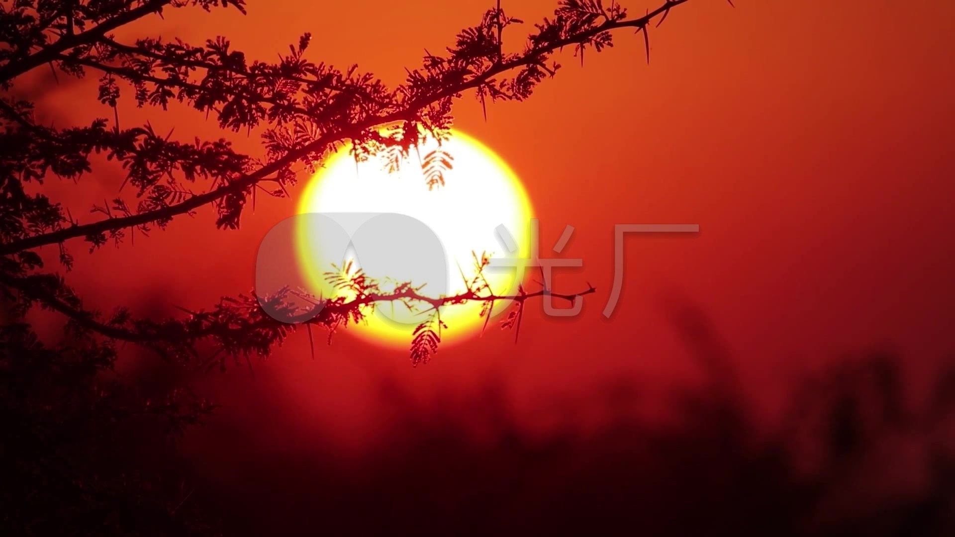 红太阳_1920x1080_高清视频素材下载(编号:2120649)