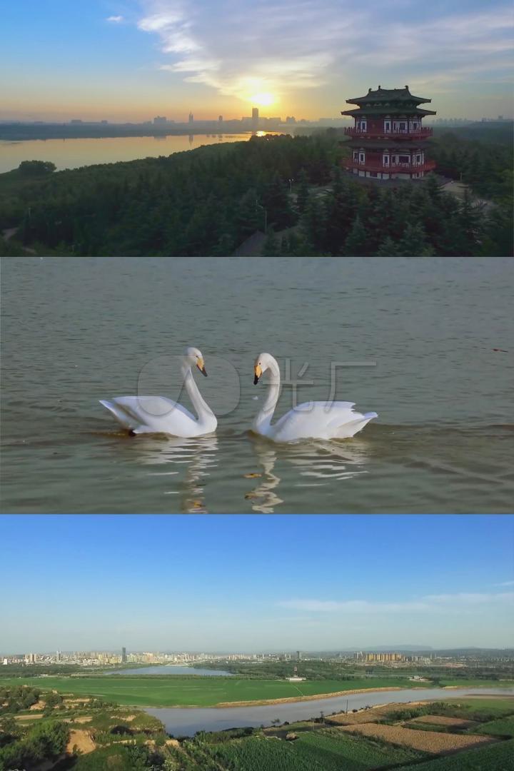 黄河湿地公园
