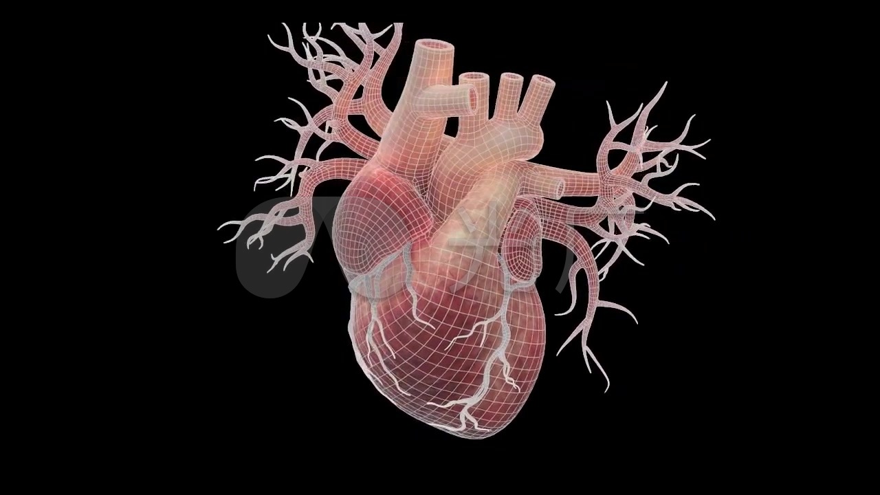 3d医疗人体器官心脏动画视频素材