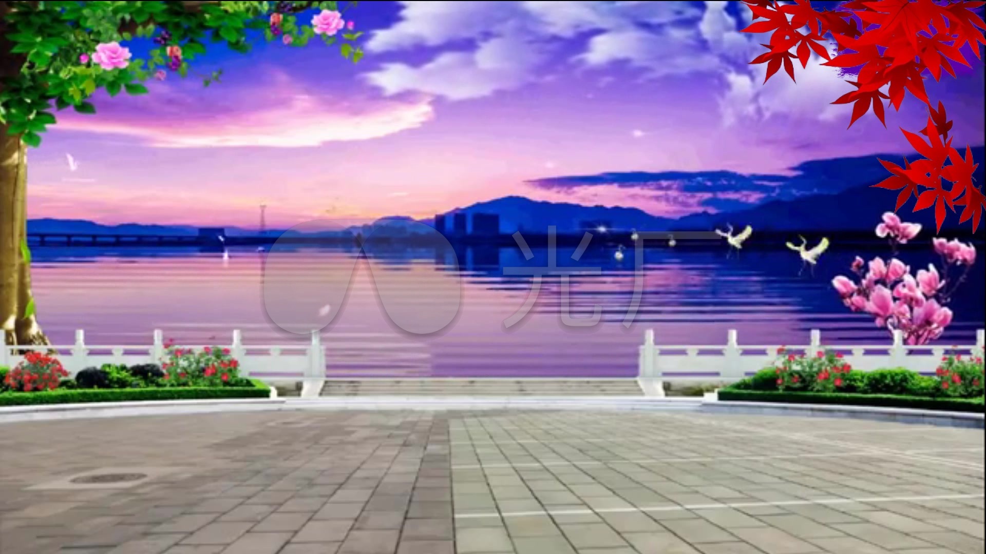 广场舞视频背景