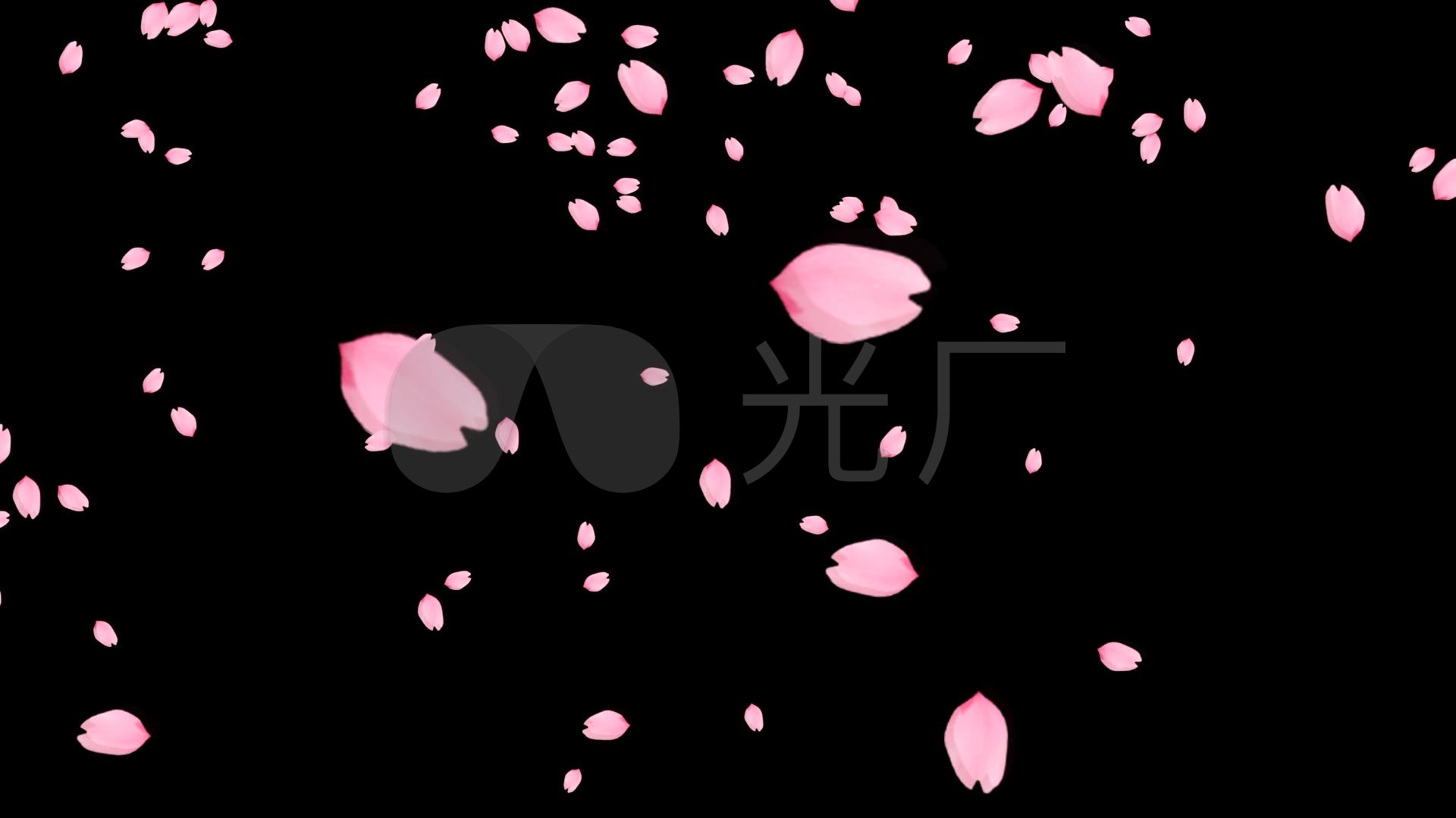 带通道花瓣樱花桃花纷飞飞舞_1920x1080_高清视频素材